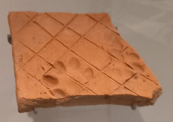 Close up image of an orange, ceramic tile covered in crisscross and one dog paw print in the bottom left hand corner.