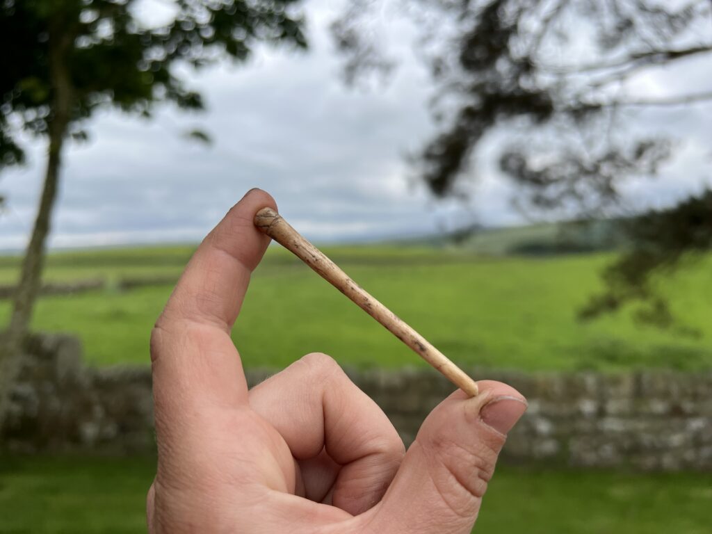 Ancient Roman hairpin made from tusk.