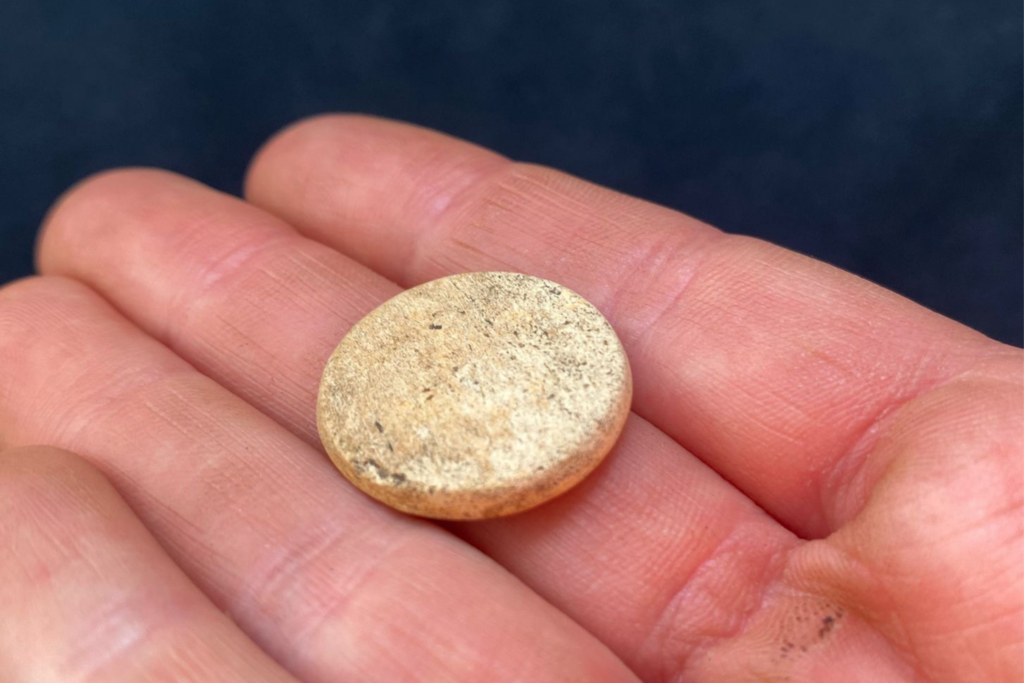 Close up of a hand with a Roman bone gaming counter lying flat on the fingers. The gaming counter is off white and is a plan, disc shape. The gaming counter is no more than an inch in diameter. 