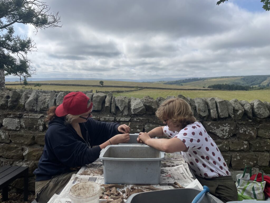 Two people clean and sort finds at an outdoor table beside a dry-stone wall, with open moorland stretching into the distance behind them. There are grey washing bowls and newspaper on the table, and they are using toothbrushes to wash animal bones.