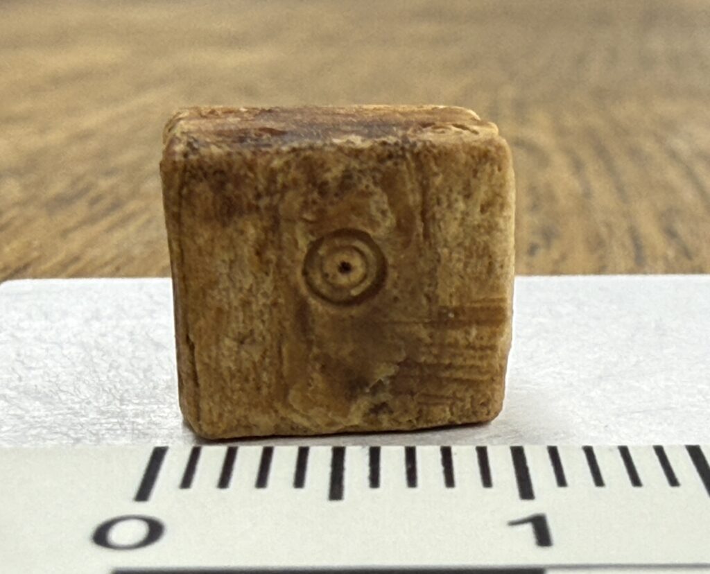 Tiny die made from animal bone.